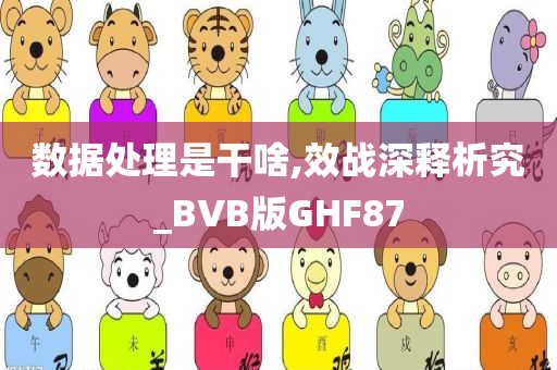 数据处理是干啥,效战深释析究_BVB版GHF87