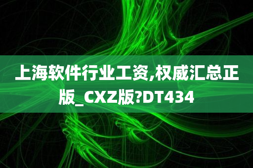 上海软件行业工资,权威汇总正版_CXZ版?DT434