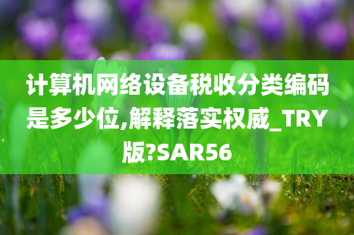 计算机网络设备税收分类编码是多少位,解释落实权威_TRY版?SAR56