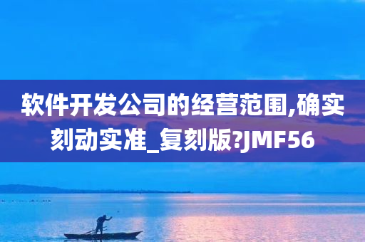 软件开发公司的经营范围,确实刻动实准_复刻版?JMF56