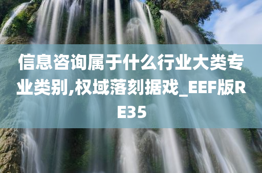 信息咨询属于什么行业大类专业类别,权域落刻据戏_EEF版RE35