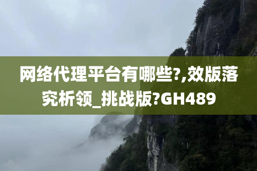 网络代理平台有哪些?,效版落究析领_挑战版?GH489