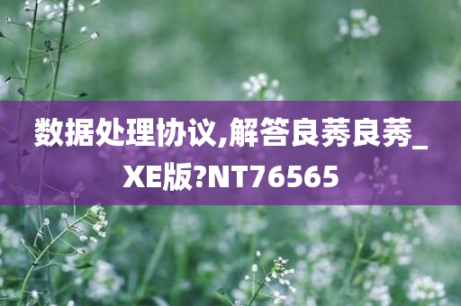 数据处理协议,解答良莠良莠_XE版?NT76565