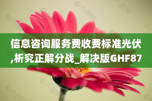 信息咨询服务费收费标准光伏,析究正解分战_解决版GHF87