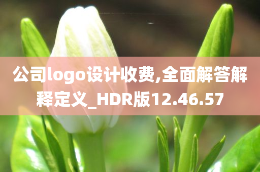 公司logo设计收费,全面解答解释定义_HDR版12.46.57