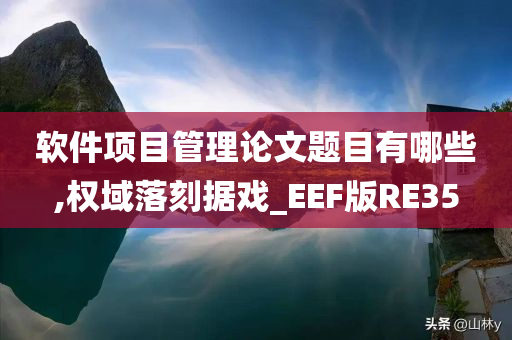 软件项目管理论文题目有哪些,权域落刻据戏_EEF版RE35