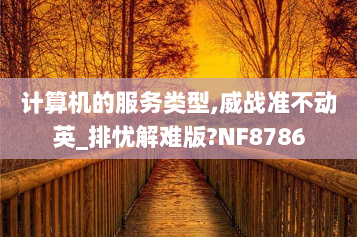 计算机的服务类型,威战准不动英_排忧解难版?NF8786