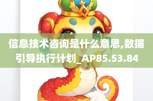 信息技术咨询是什么意思,数据引导执行计划_AP85.53.84