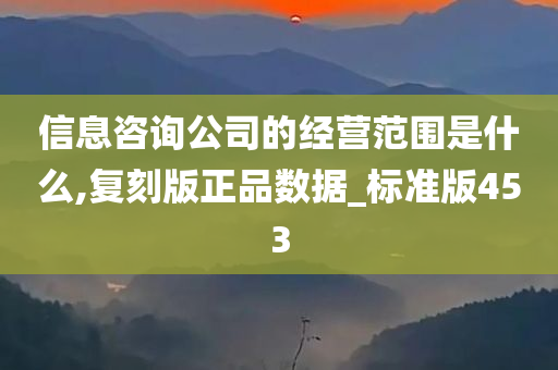 信息咨询公司的经营范围是什么,复刻版正品数据_标准版453