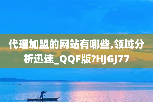 代理加盟的网站有哪些,领域分析迅速_QQF版?HJGJ77