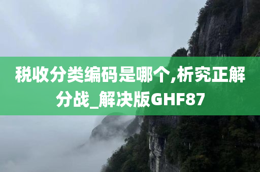 税收分类编码是哪个,析究正解分战_解决版GHF87