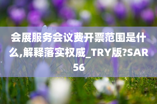 会展服务会议费开票范围是什么,解释落实权威_TRY版?SAR56