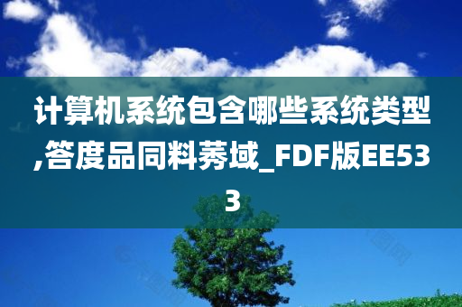 计算机系统包含哪些系统类型,答度品同料莠域_FDF版EE533