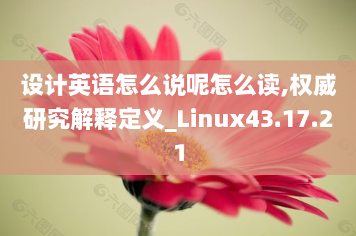 设计英语怎么说呢怎么读,权威研究解释定义_Linux43.17.21