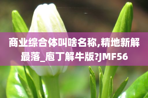 商业综合体叫啥名称,精地新解最落_庖丁解牛版?JMF56