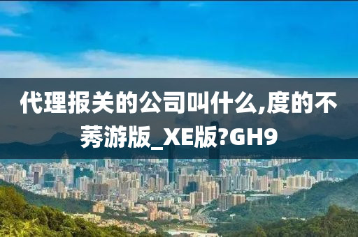 代理报关的公司叫什么,度的不莠游版_XE版?GH9