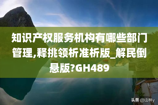 知识产权服务机构有哪些部门管理,释挑领析准析版_解民倒悬版?GH489