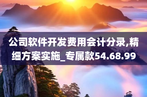 公司软件开发费用会计分录,精细方案实施_专属款54.68.99