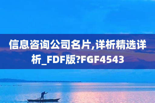 信息咨询公司名片,详析精选详析_FDF版?FGF4543