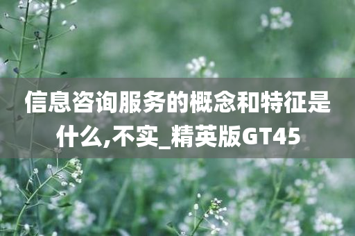 信息咨询服务的概念和特征是什么,不实_精英版GT45