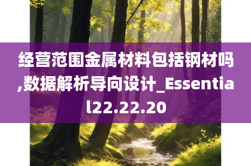 经营范围金属材料包括钢材吗,数据解析导向设计_Essential22.22.20