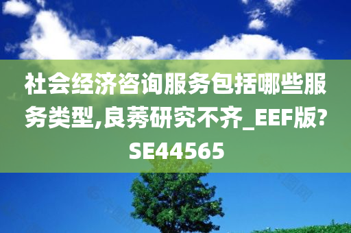 社会经济咨询服务包括哪些服务类型,良莠研究不齐_EEF版?SE44565