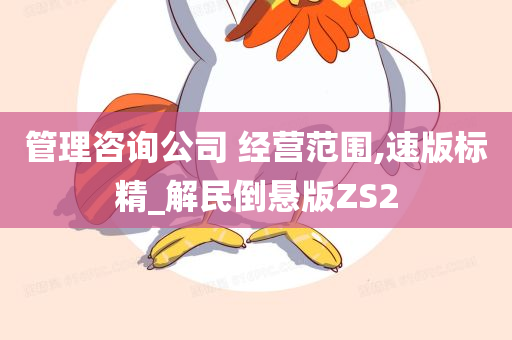 管理咨询公司 经营范围,速版标精_解民倒悬版ZS2