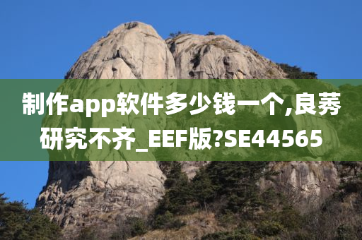 制作app软件多少钱一个,良莠研究不齐_EEF版?SE44565