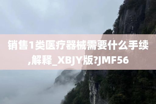 销售1类医疗器械需要什么手续,解释_XBJY版?JMF56