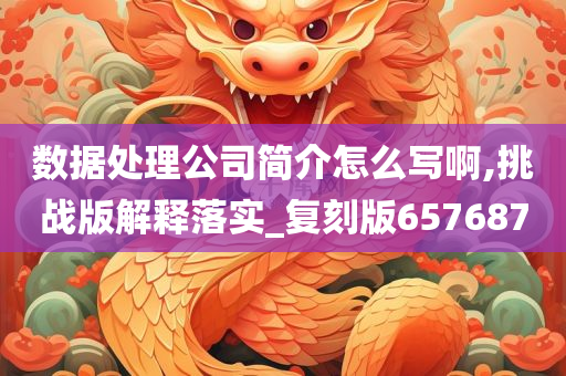 数据处理公司简介怎么写啊,挑战版解释落实_复刻版657687