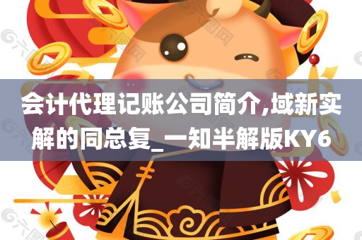 会计代理记账公司简介,域新实解的同总复_一知半解版KY6