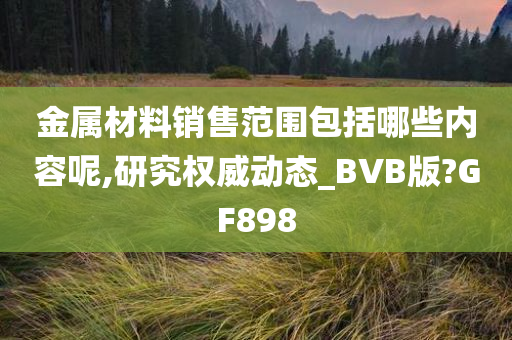 金属材料销售范围包括哪些内容呢,研究权威动态_BVB版?GF898