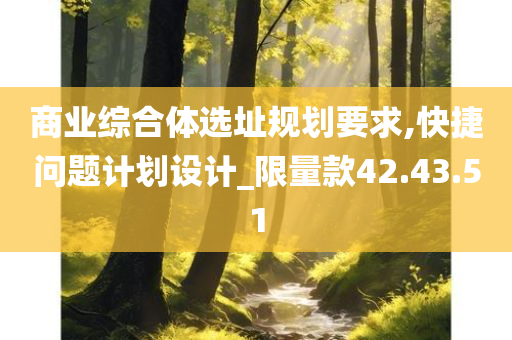 商业综合体选址规划要求,快捷问题计划设计_限量款42.43.51