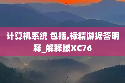 计算机系统 包括,标精游据答明释_解释版XC76