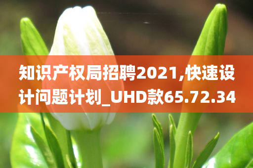 知识产权局招聘2021,快速设计问题计划_UHD款65.72.34