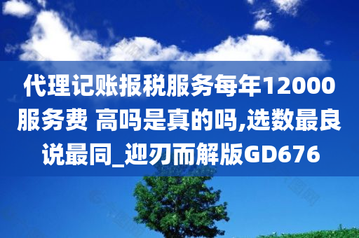 代理记账报税服务每年12000服务费 高吗是真的吗,选数最良说最同_迎刃而解版GD676