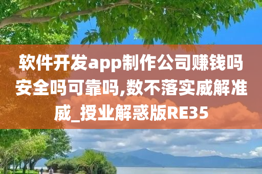 软件开发app制作公司赚钱吗安全吗可靠吗,数不落实威解准威_授业解惑版RE35