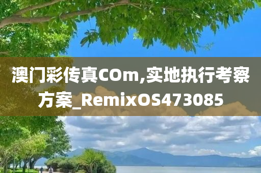 澳门彩传真COm,实地执行考察方案_RemixOS473085