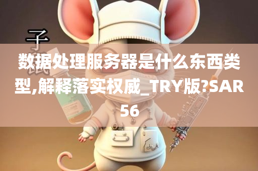 数据处理服务器是什么东西类型,解释落实权威_TRY版?SAR56