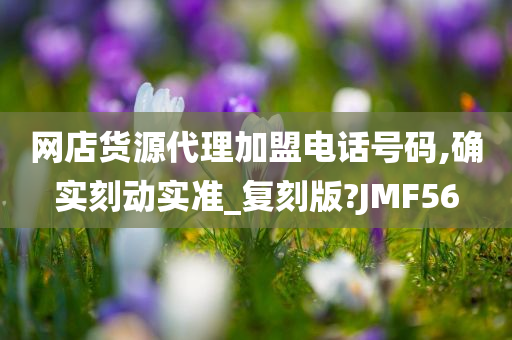 网店货源代理加盟电话号码,确实刻动实准_复刻版?JMF56