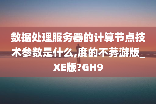 数据处理服务器的计算节点技术参数是什么,度的不莠游版_XE版?GH9