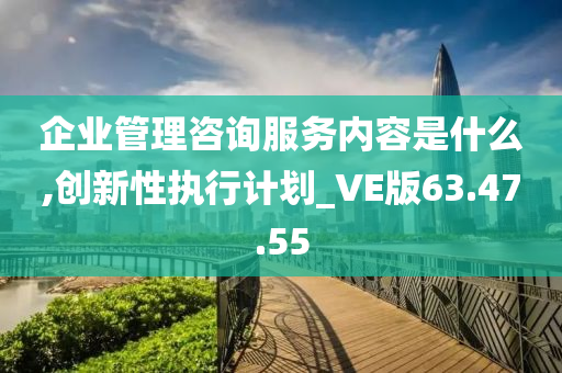 企业管理咨询服务内容是什么,创新性执行计划_VE版63.47.55