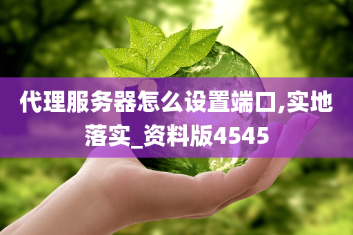 代理服务器怎么设置端口,实地落实_资料版4545