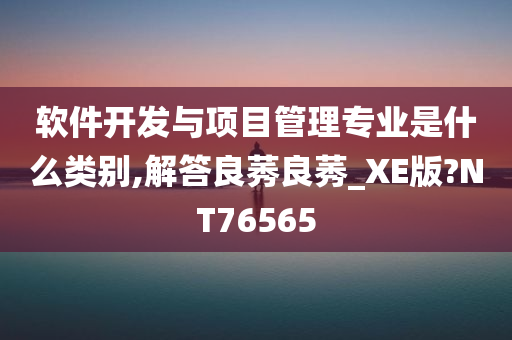 软件开发与项目管理专业是什么类别,解答良莠良莠_XE版?NT76565