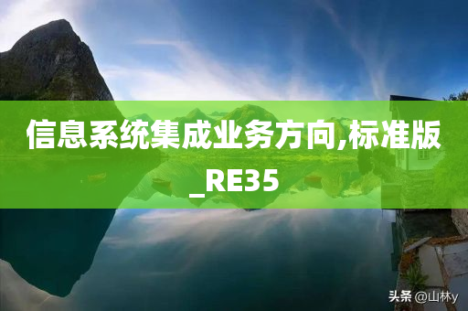 信息系统集成业务方向,标准版_RE35