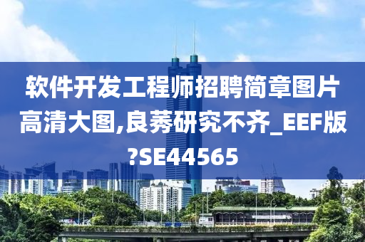 软件开发工程师招聘简章图片高清大图,良莠研究不齐_EEF版?SE44565