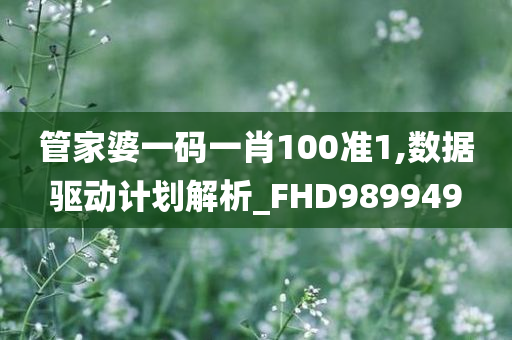 管家婆一码一肖100准1,数据驱动计划解析_FHD989949