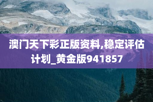 澳门天下彩正版资料,稳定评估计划_黄金版941857