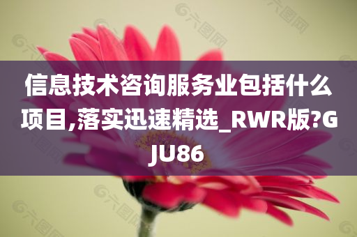 信息技术咨询服务业包括什么项目,落实迅速精选_RWR版?GJU86