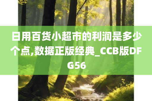 日用百货小超市的利润是多少个点,数据正版经典_CCB版DFG56